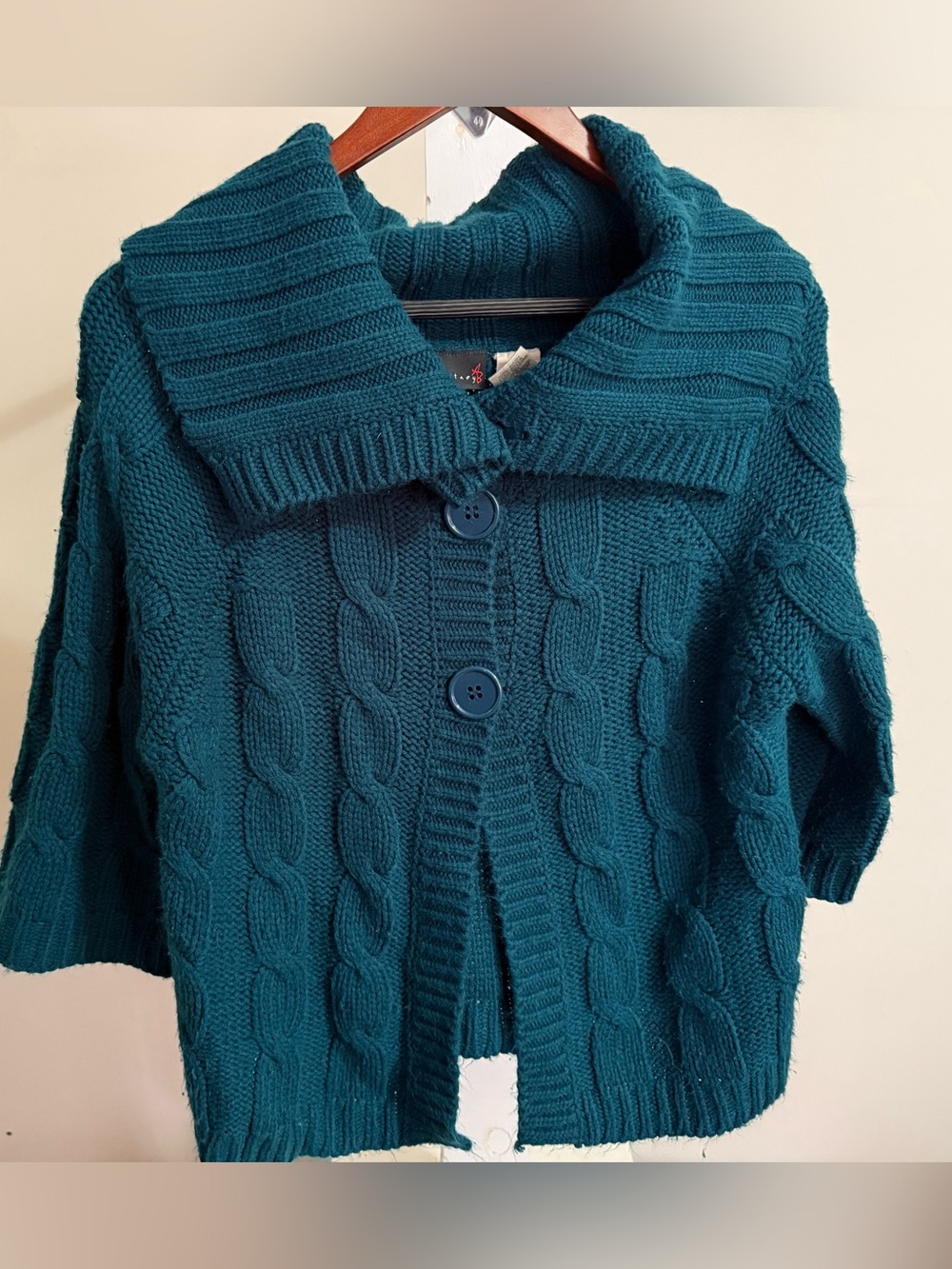 Allison Brittney Wide Collar Cardigan